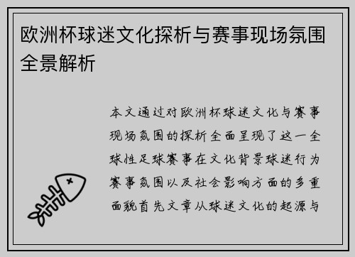 欧洲杯球迷文化探析与赛事现场氛围全景解析